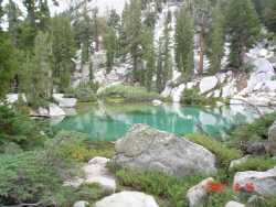 Turquoise Lake #2